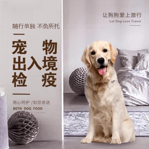 株洲市宠物托运到哥伦比亚猫狗宠物入境规定和