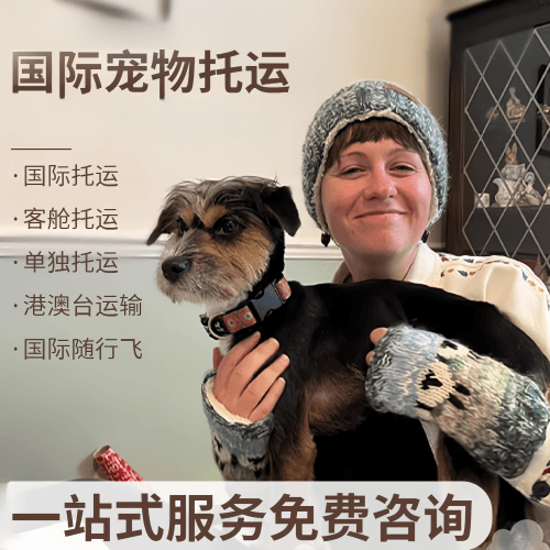株洲市国际宠物托运到阿根廷宠物入境规定和要
