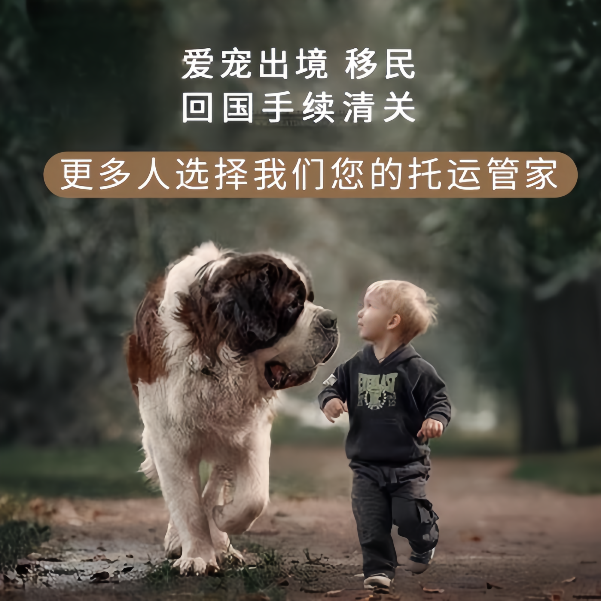 满财株洲市宠物全球达宠物托运在遵守入境目的地政策的条件